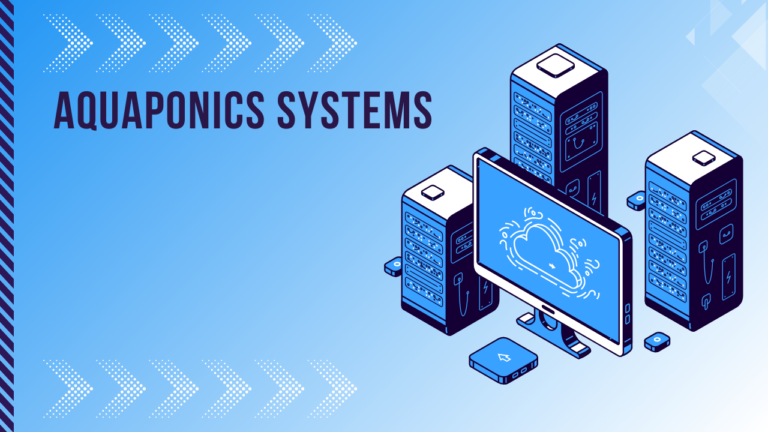 Aquaponics Systems for Home Use: A Sustainable Gardening Solution