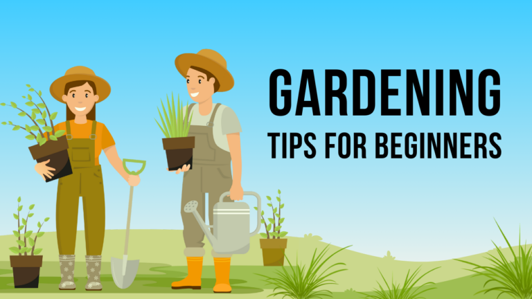 DIY Urban Gardening Hacks for Beginners: Your Ultimate Guide