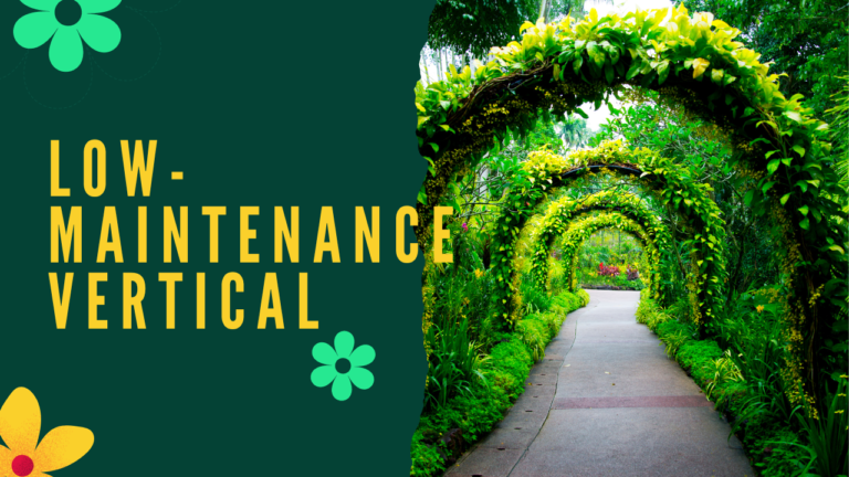 Title: Low-Maintenance Vertical Gardens for Urban Apartments: A Guide to Effortless Green Spaces